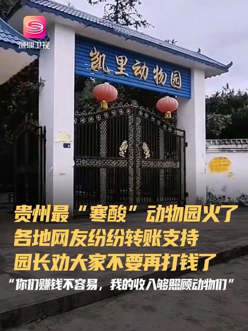 深山动物园请网友不要打钱了