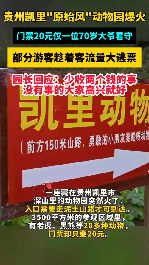 深山动物园请网友不要打钱了