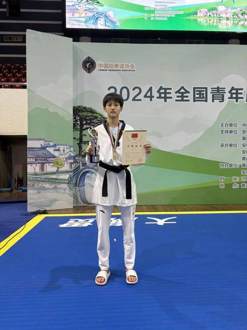 跆拳道世锦赛收官 中国队奖牌数第一