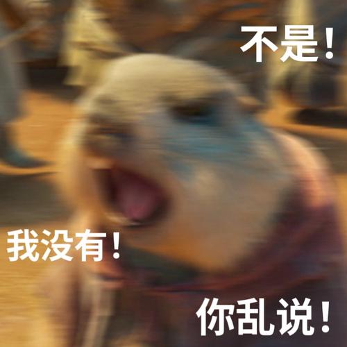 鼠鼠我啊要上天了