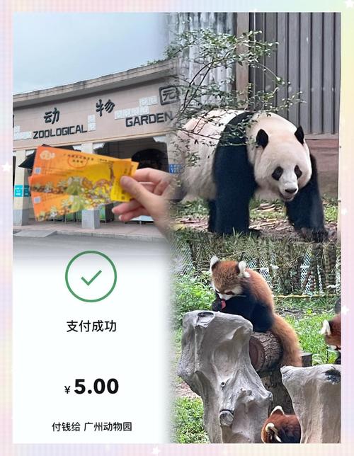 动物园回应1995年前出生可买老年票