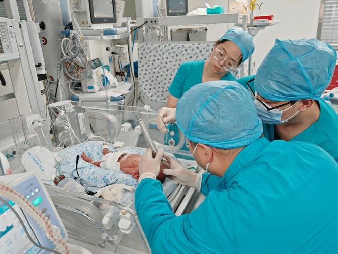 转运坠床新生儿生命体征平稳