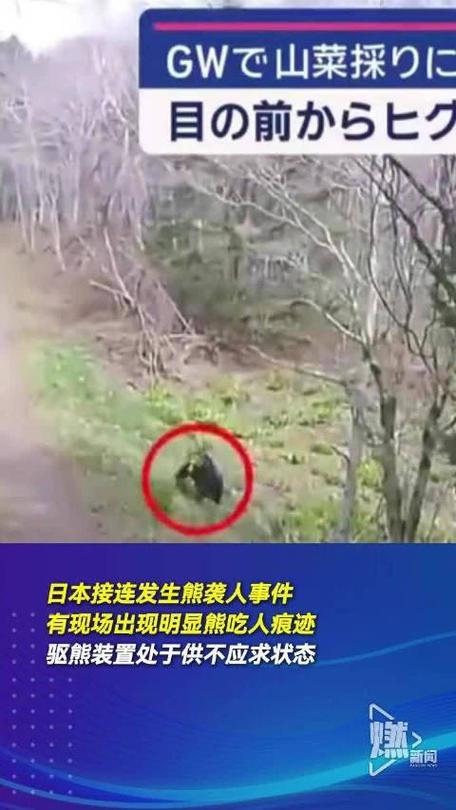 日本熊灾现场有明显吃人痕迹