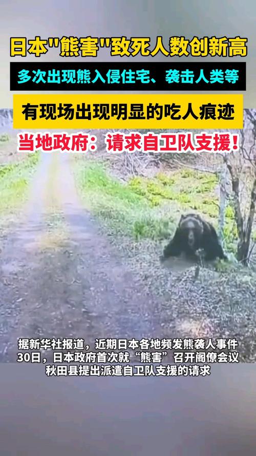 日本熊灾现场有明显吃人痕迹