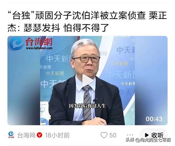 台博主批沈伯洋:只会躲同温层嘴炮