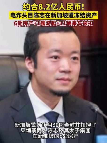 柬埔寨电诈头目8.2亿资产被冻结