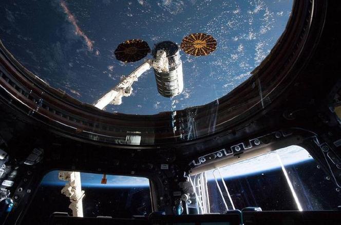 4只小鼠“入住”空间站状态良好