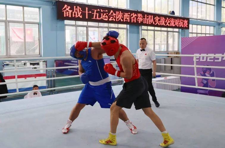 十五运会拳击比赛开赛 名将纷纷晋级