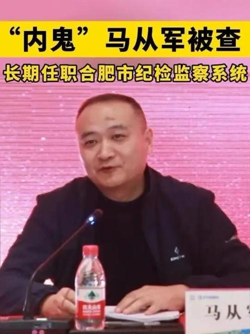 “内鬼”马从军被查