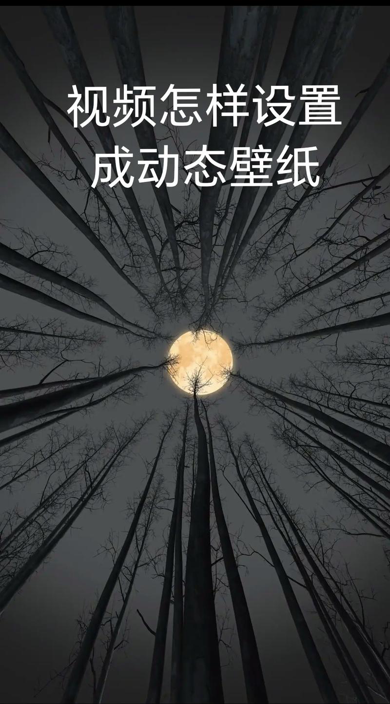 手机如何有壁纸视频呢怎么设置