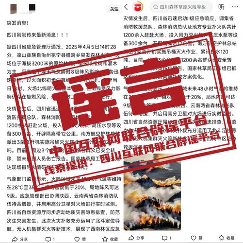 双鸭山尖山区回应“野狼出现”传闻