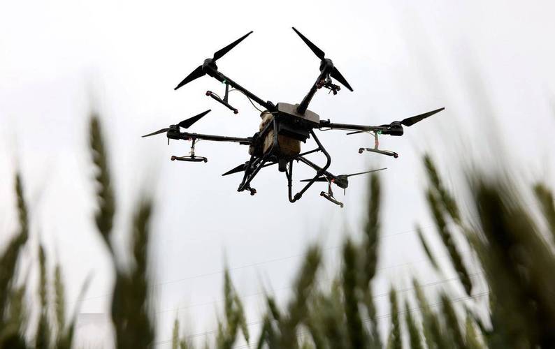 无人机低飞观鸟撞死大雁 民警回应