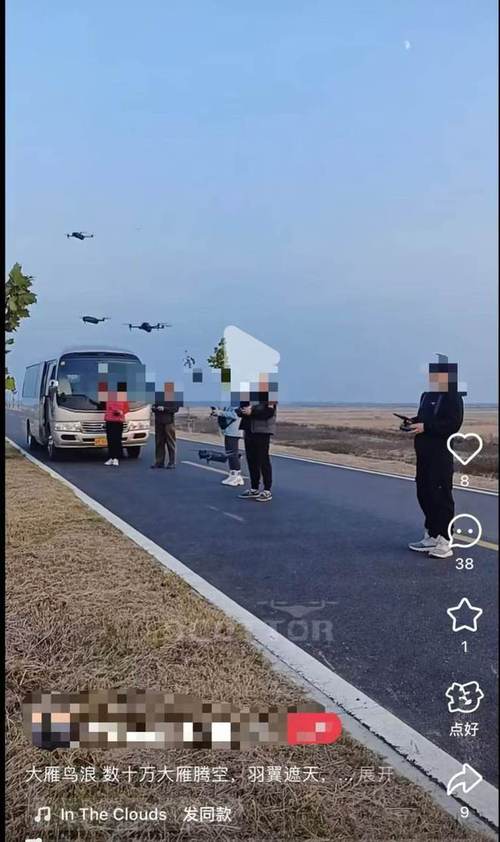 无人机低飞观鸟撞死大雁 民警回应