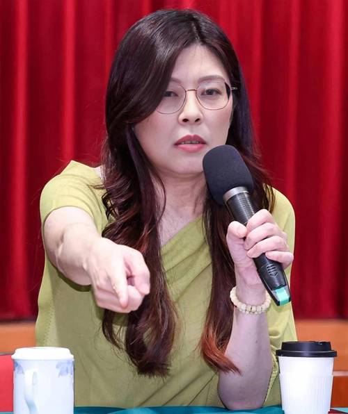 郑丽文:要终结两岸自相残杀的悲剧