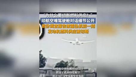印航空难唯一幸存者无法与妻儿说话