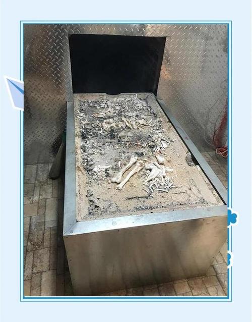 老人火化后骨灰里多出四个钢钉