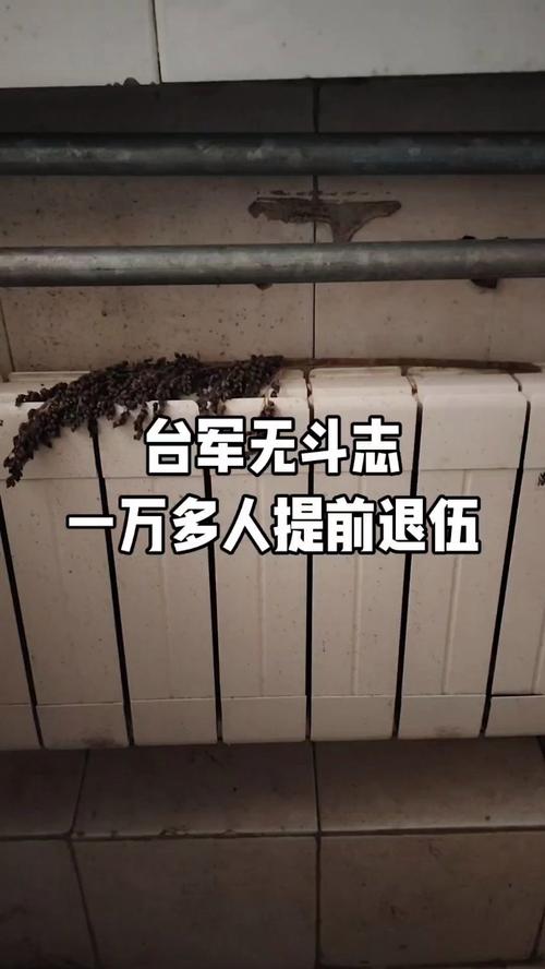 台军1.2万人宁赔钱提前退伍