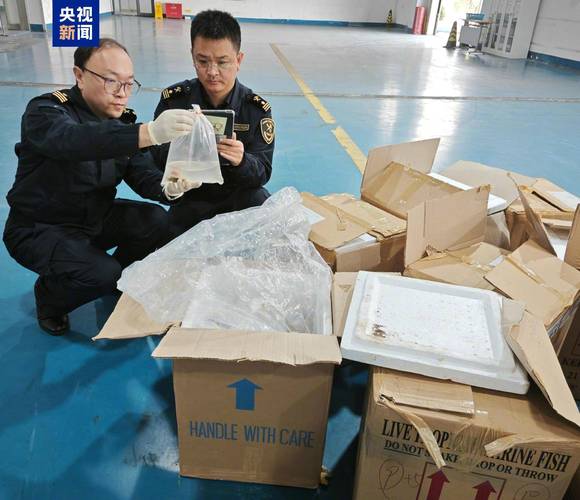 海关罚没物品“内部处理”不实