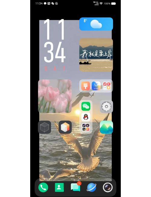 vivo手机如何在抖音设置壁纸
