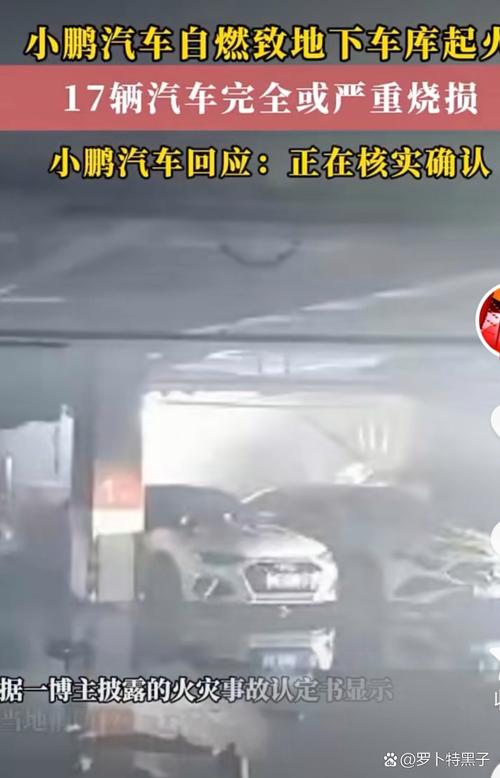 充劣质电致车辆自燃？造谣者被抓
