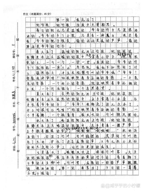 14岁初中生作文看哭全网 本人回应