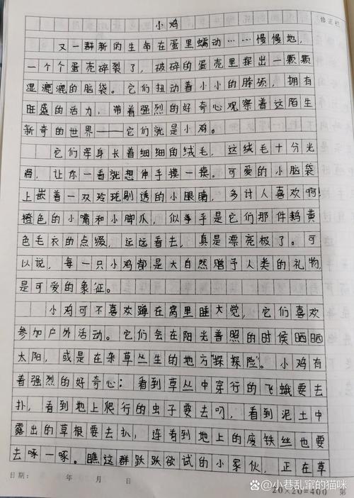 14岁初中生作文看哭全网 本人回应