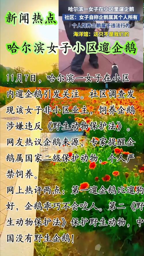 女子在小区里遛企鹅 社区：违法
