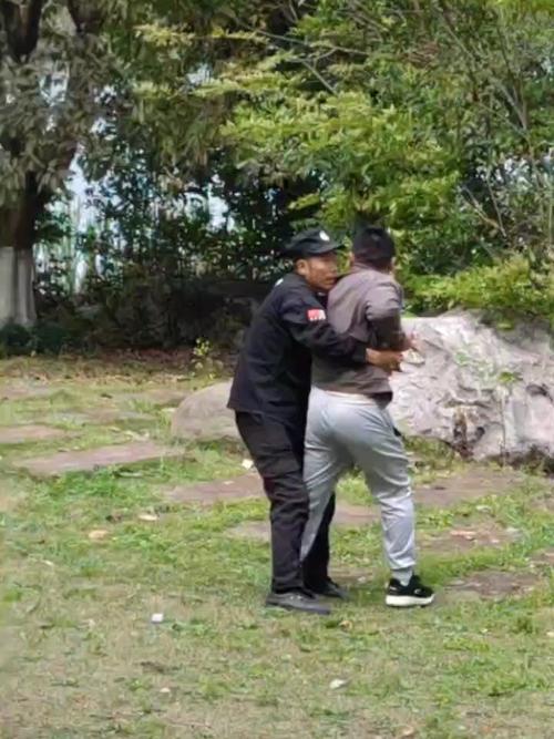 男子每天下班弹弓打鸟 涉刑事犯罪