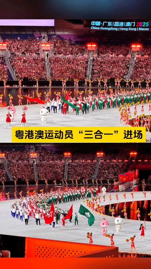 粤港澳三地代表团同时入场