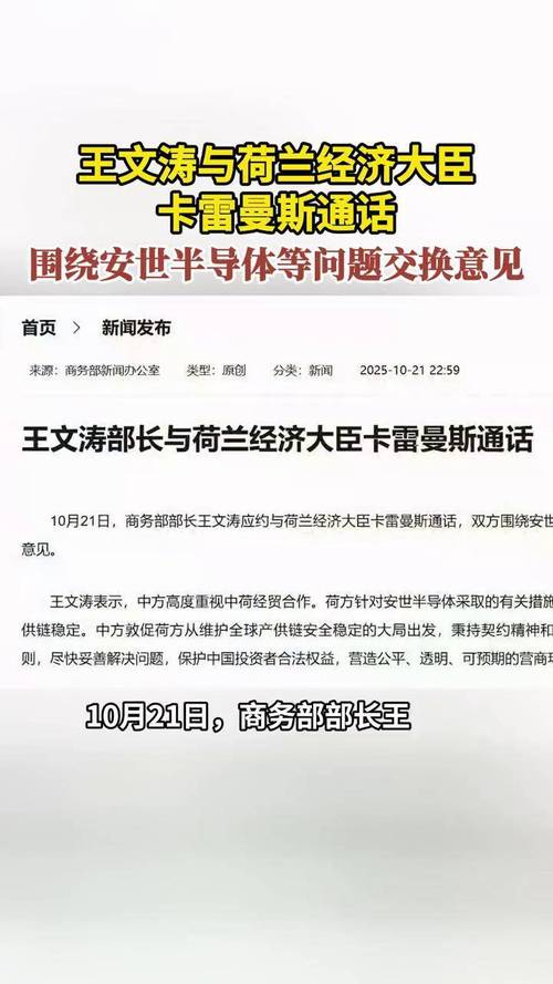 王文涛：安世半导体问题责任在于荷方