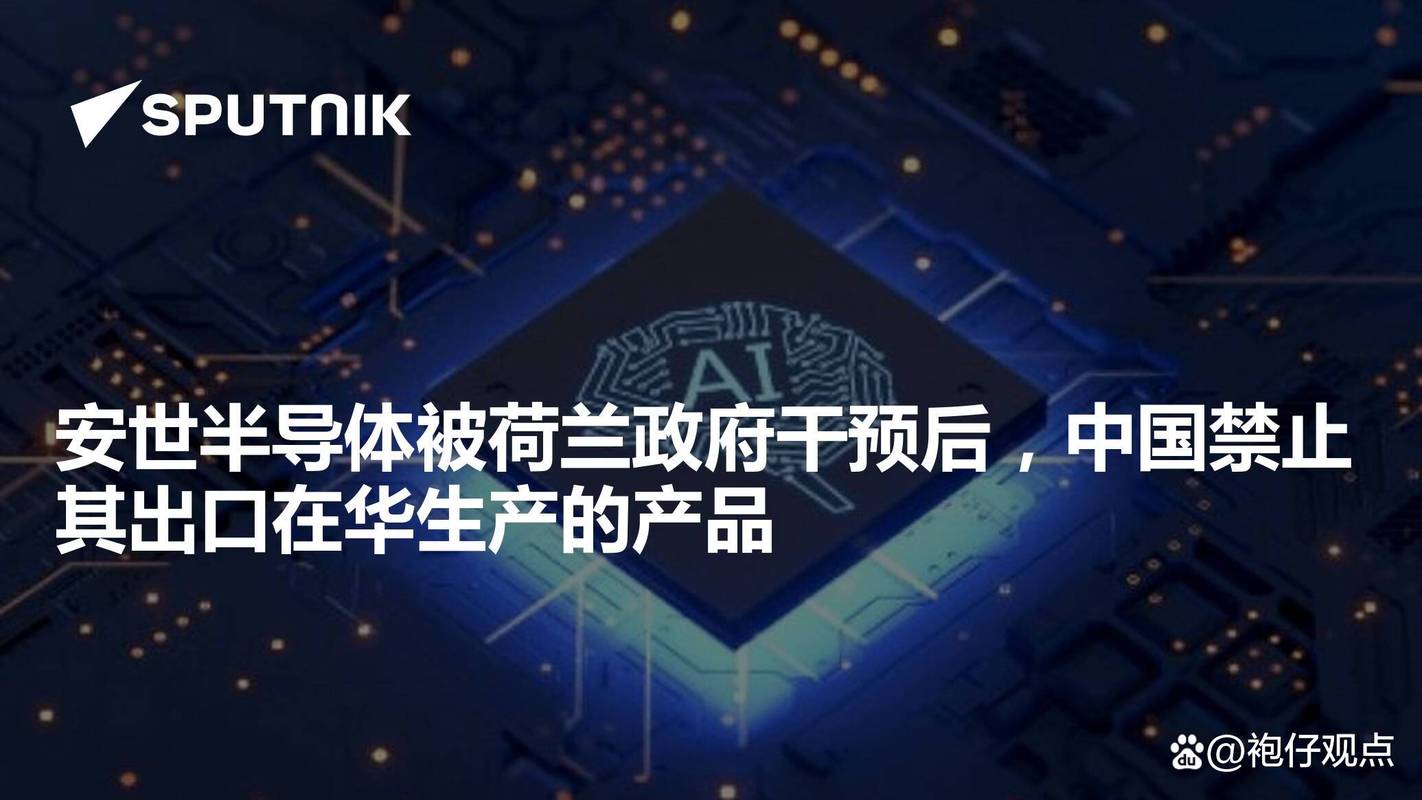 王文涛：安世半导体问题责任在于荷方