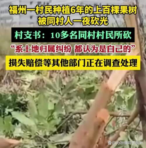 农户响应号召种树 成材后被禁止采伐