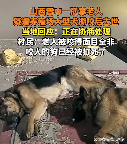 山西“狗咬人引发的血案”将开庭