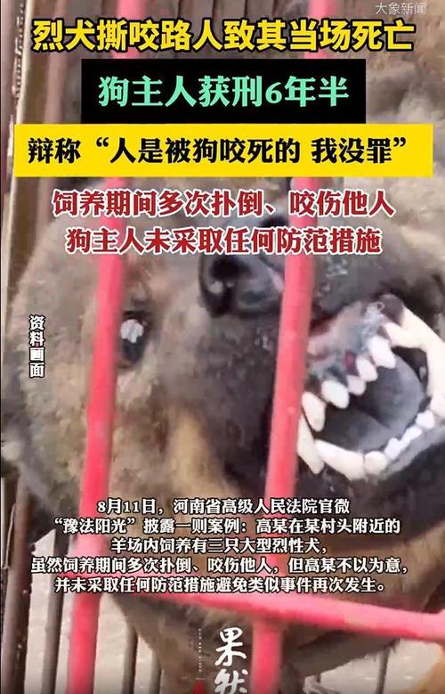 山西“狗咬人引发的血案”将开庭