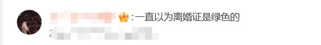 离婚证背面有“囍”字