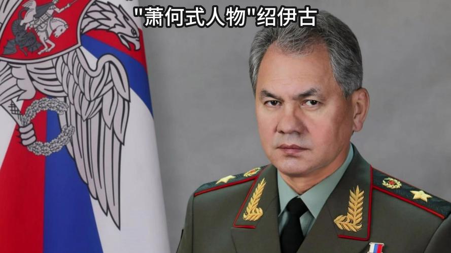绍伊古：俄日关系正常化或需数年时间