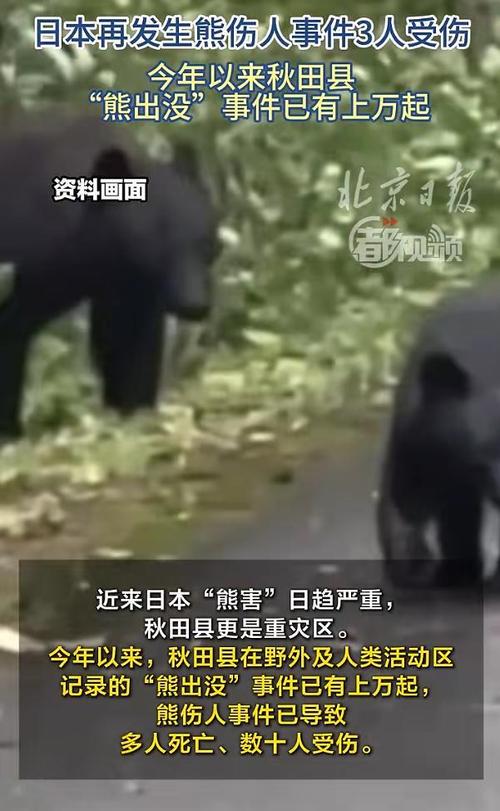 日本店员遭熊袭击浑身血继续做拉面