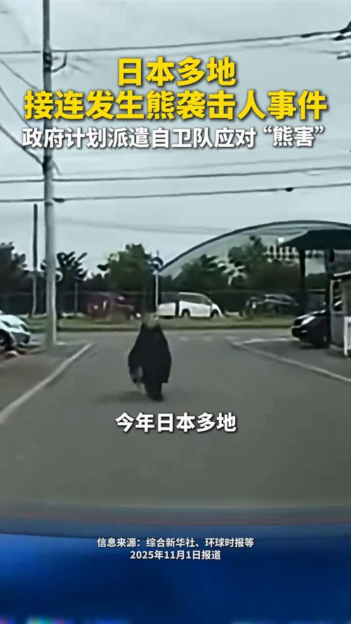 日本店员遭熊袭击浑身血继续做拉面