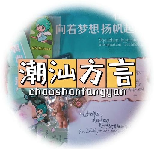微信翻译功能已解锁潮汕话