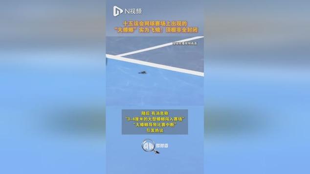 全运会网球赛场现蟑螂？竞委会发声明