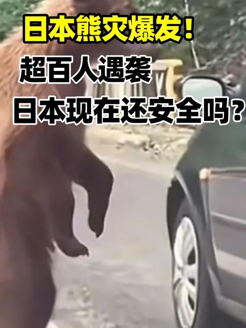 日本“熊灾”遇害人数创新高