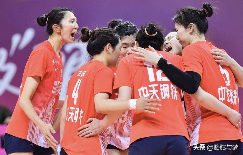 江苏女排3比0河南女排