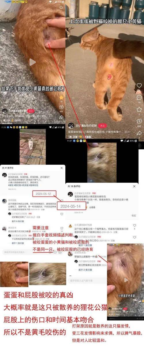 九阳新品被指玩“虐猫梗”客服回应
