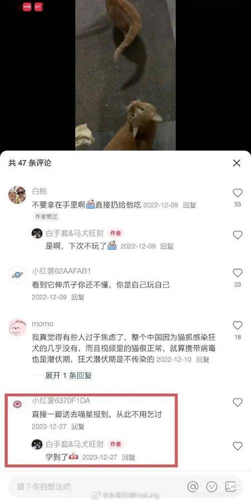 九阳新品被指玩“虐猫梗”客服回应