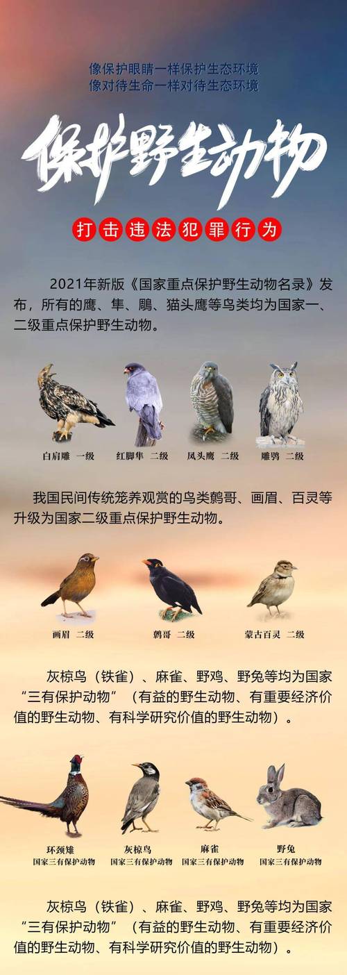 最高法提醒：这些鸟不能随意捕