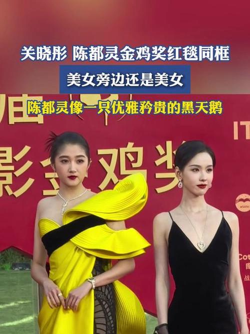 关晓彤陈都灵金鸡奖红毯同框