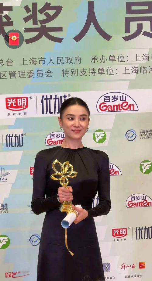宋佳获金鸡奖最佳女主角奖