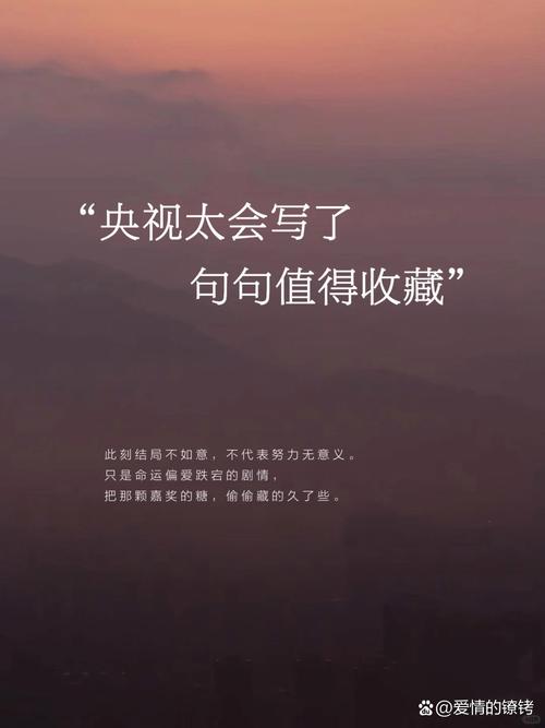 一言为定是中国网友的有力回应