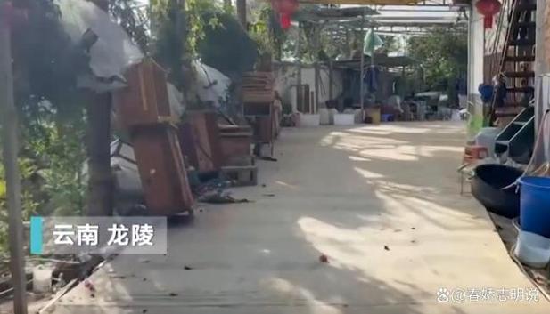 央视曝光6666元包教包会养杀人蜂