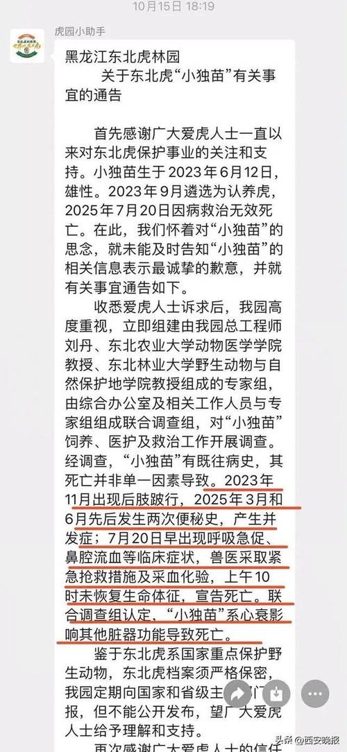 认养2年东北虎心衰死亡 林草局回应
